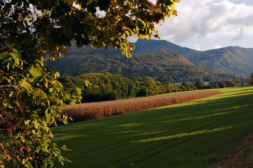 La Maladière : En revenant du 