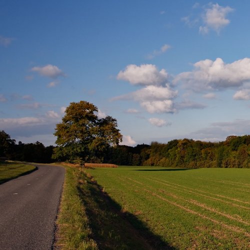 La Maladière : En revenant du 