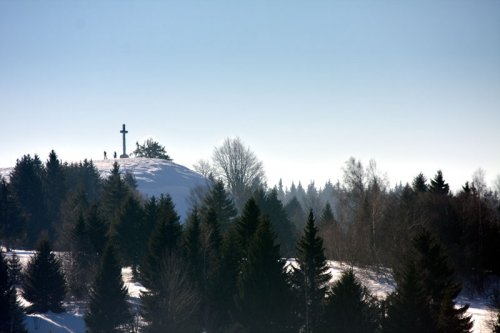 40d-4966.jpg