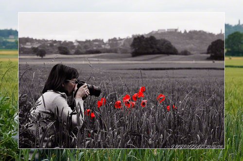 40d10074coquelicot201006f