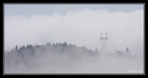 Un dimanche dans le brouillard
