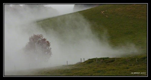 Un dimanche dans le brouillard