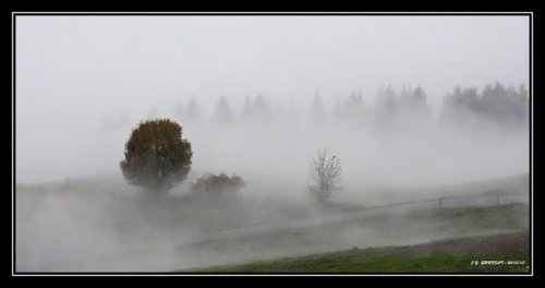 Un dimanche dans le brouillard