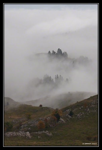 Un dimanche dans le brouillard