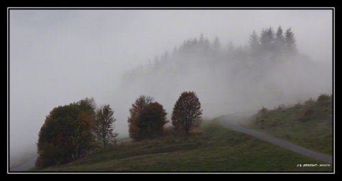 Un dimanche dans le brouillard