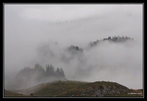 Un dimanche dans le brouillard