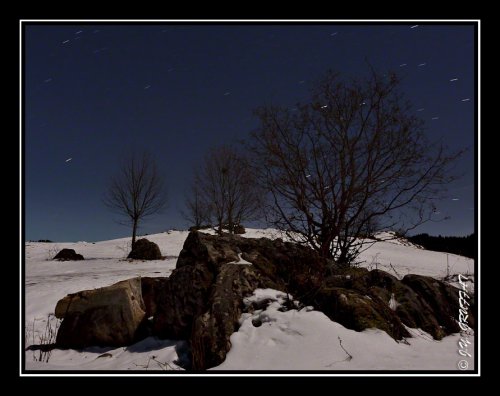 Dans la neige au clair de la Lune