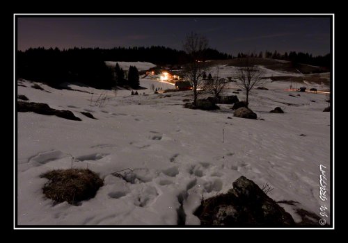Dans la neige au clair de la Lune