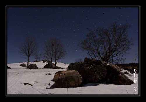 Dans la neige au clair de la Lune