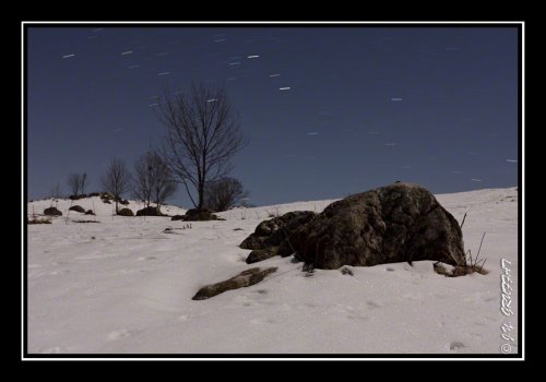 Dans la neige au clair de la Lune