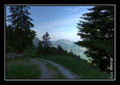 Sur le sentier entre les chalets de la Buchille et les chalets du Pertuis