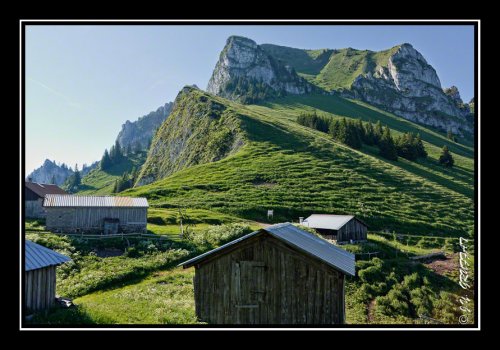 Vue sur le Mont Billiat depuis les chalets du Pertuis