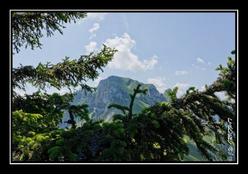 Le Mont Billiat