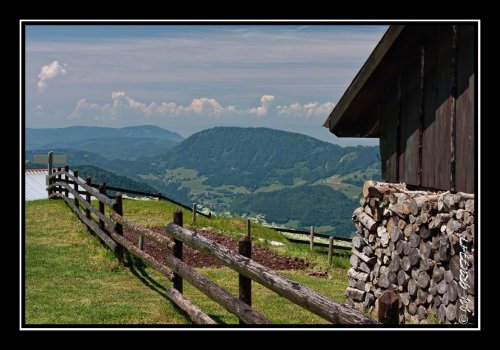 Vue sur le Mont Forchat depuis les chalets du Pertuis