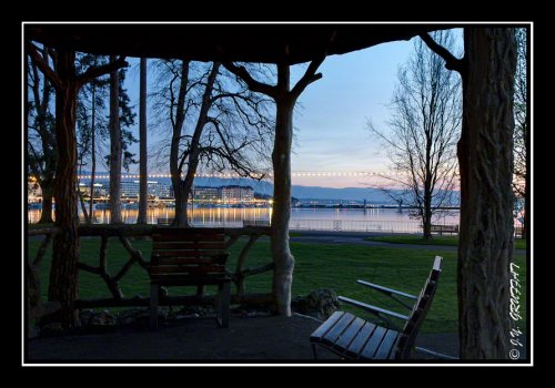 Balade à l'aube dans le jardin anglais (Genève)