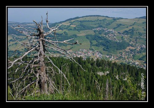 Bernex vu depuis le Mont Baron