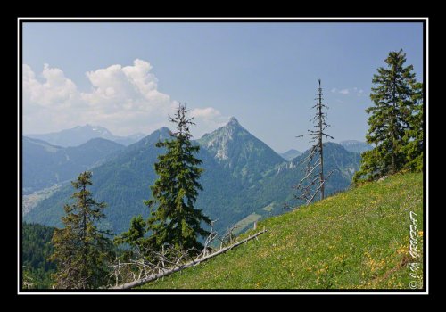 La Pointe de Tréchauffex depuis le Mont Baron