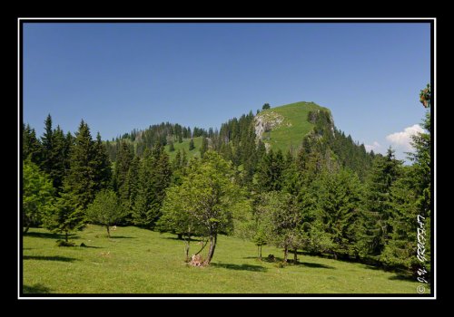 Le Mont Baron
