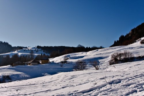 40d-4937.jpg