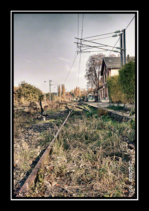 L\'herbe s\'est invitée entre les traverses
