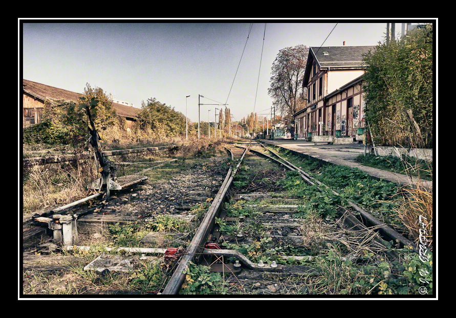 L\'herbe s\'est invitée entre les traverses
